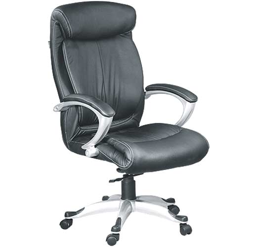 Director Chair