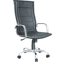 Sleek Chairs