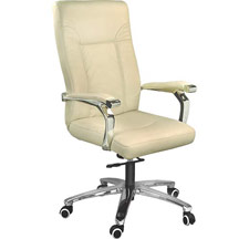 Director Chairs