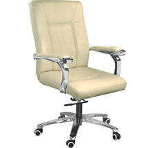 Director Chairs