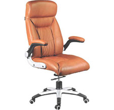 Director Chairs